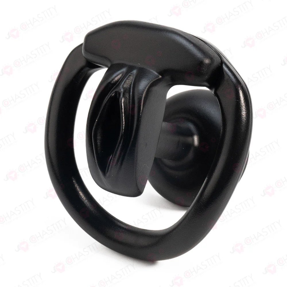 Inverted Crossdressing Chastity Pussy - Image 9