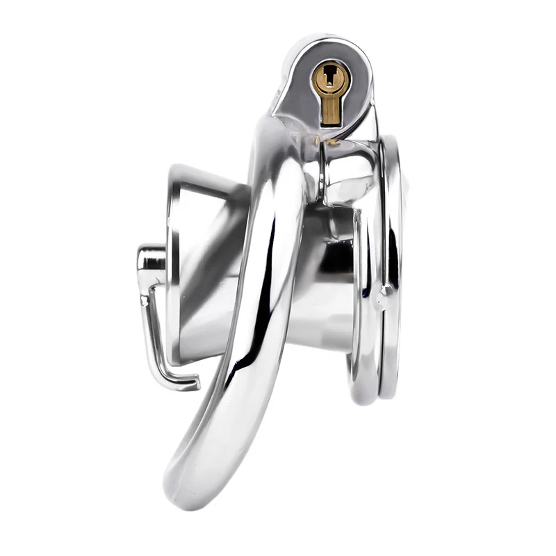 Inverted Prince Albert Piercing Chastity Lock - Image 5