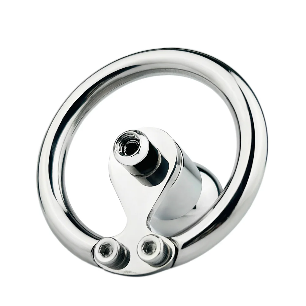 Inverting Chastity & Detachable Dildo - Image 3