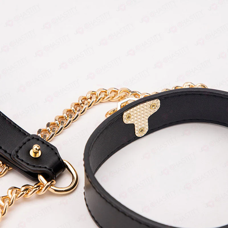 Leather BDSM Collar With Leash - Image 4