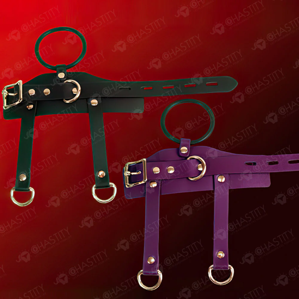 Leather Chastity Cage with Leash - Image 7