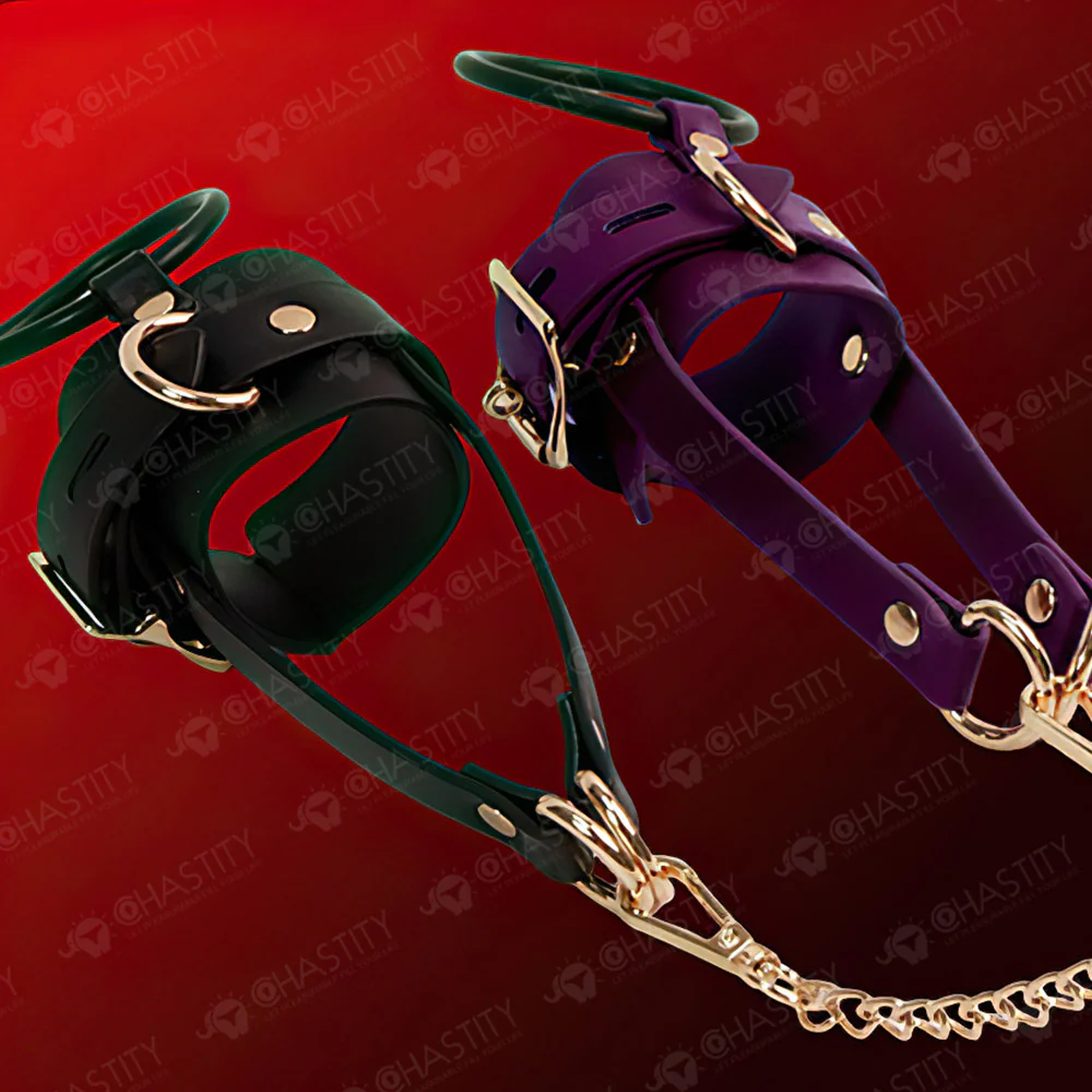 Leather Chastity Cage with Leash - Image 9