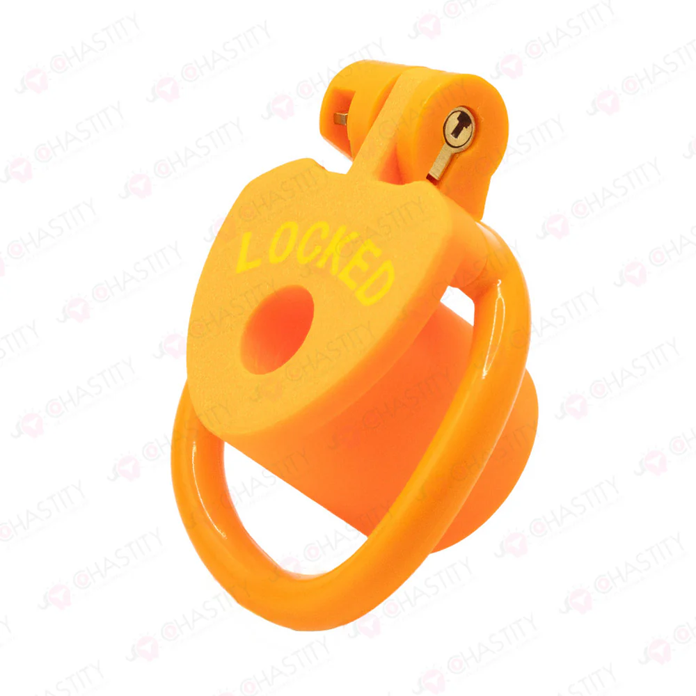 Locked Internal Chastity Cage - Image 6