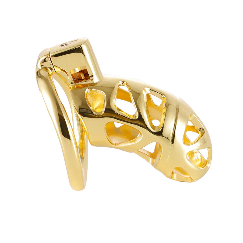 Luxury Chastity Cage (3 Rings) - Image 2