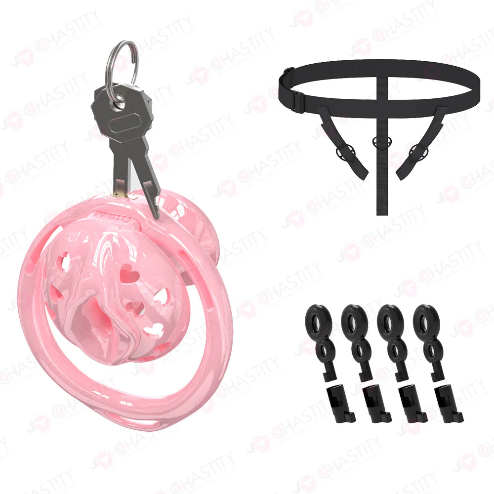 Male to Female Chastity Transformation - Image 6