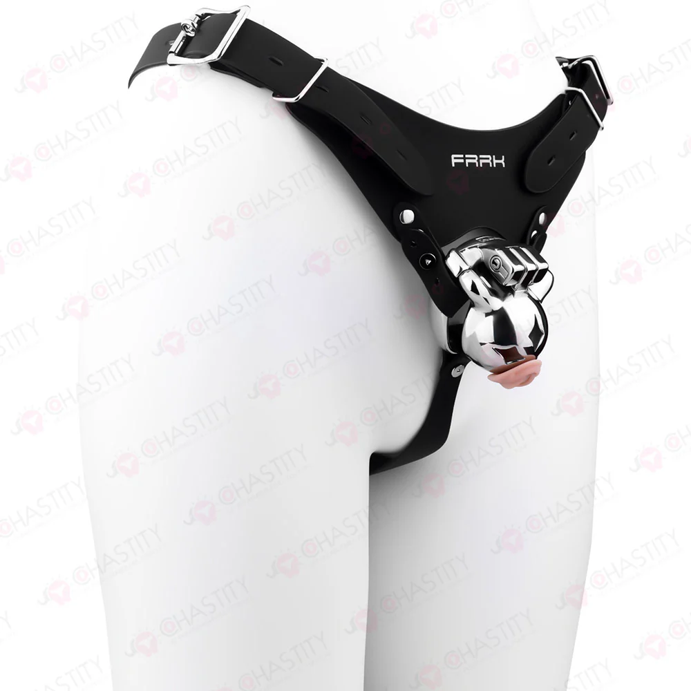 Meteor Mini Chastity Lock Up - Image 13