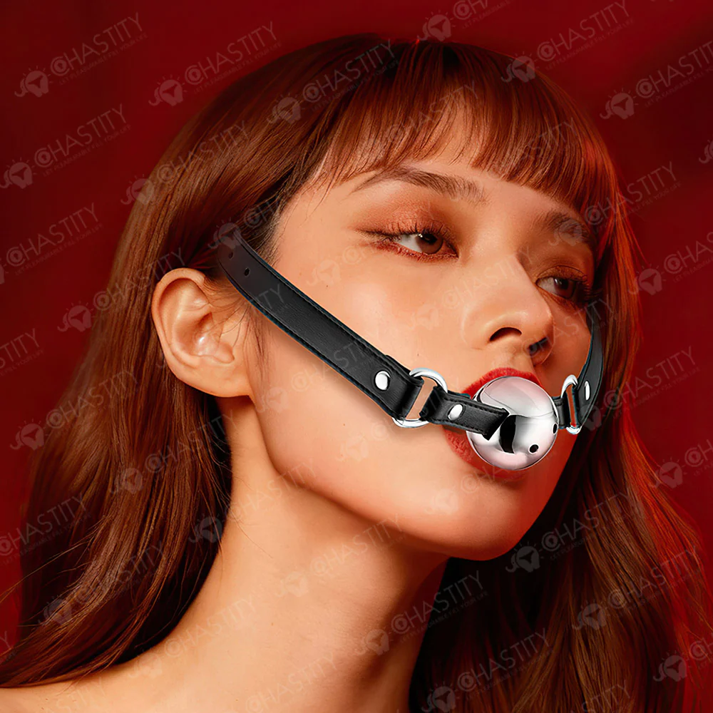 Mouth Metal Ball Gag - Image 5