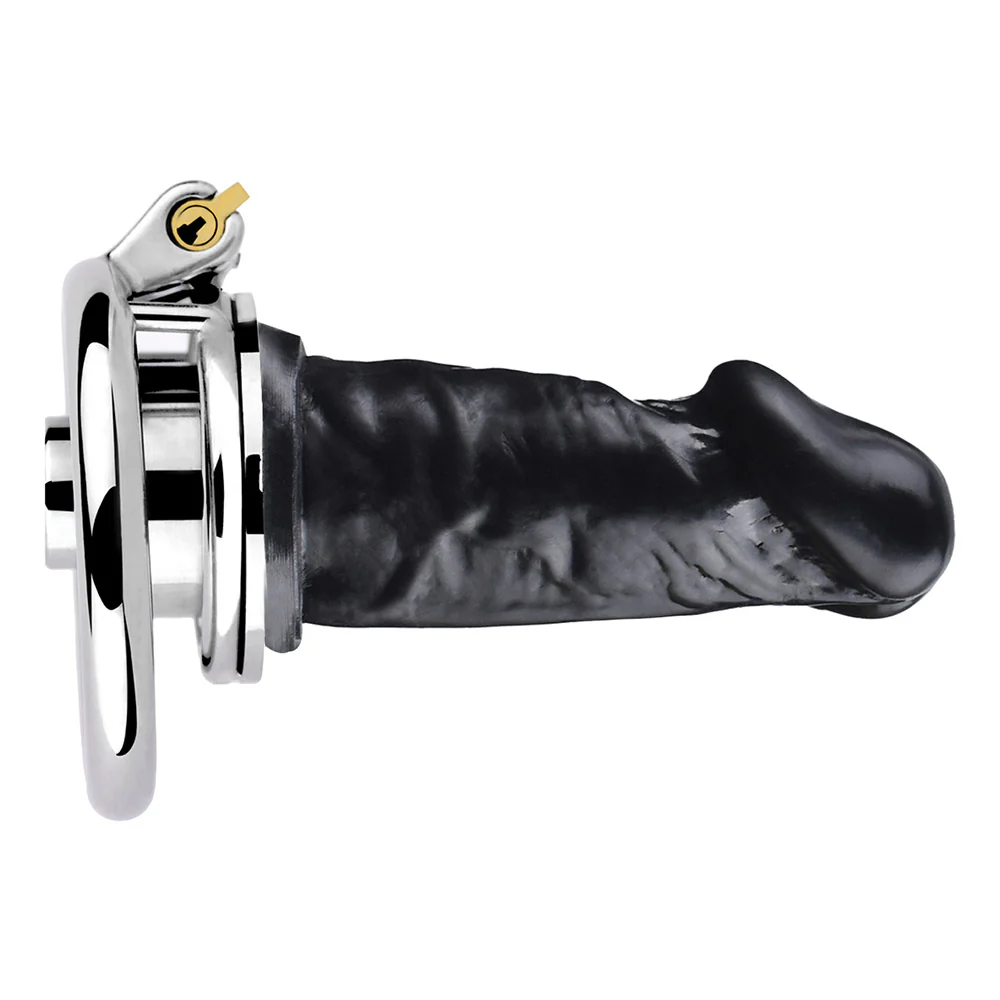 Negative Chastity Device & Detachable Dildo - Image 20