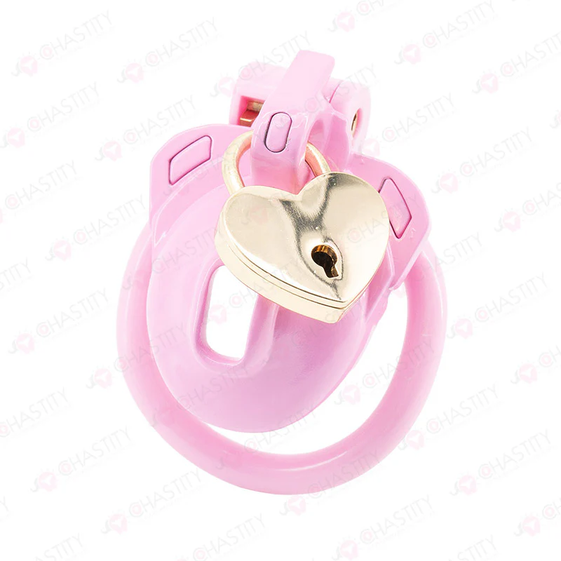 No Escape Chastity Cage (Double Lock) - Image 2