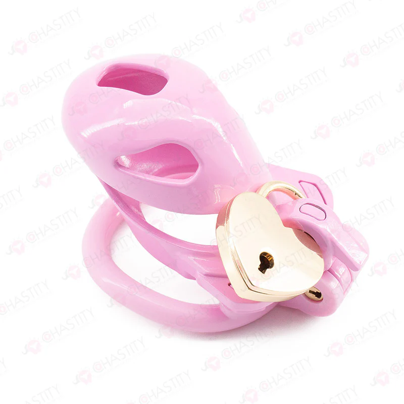 No Escape Chastity Cage (Double Lock) - Image 3