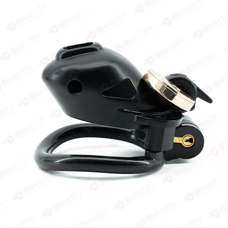 No Escape Chastity Cage (Double Lock) - Image 8