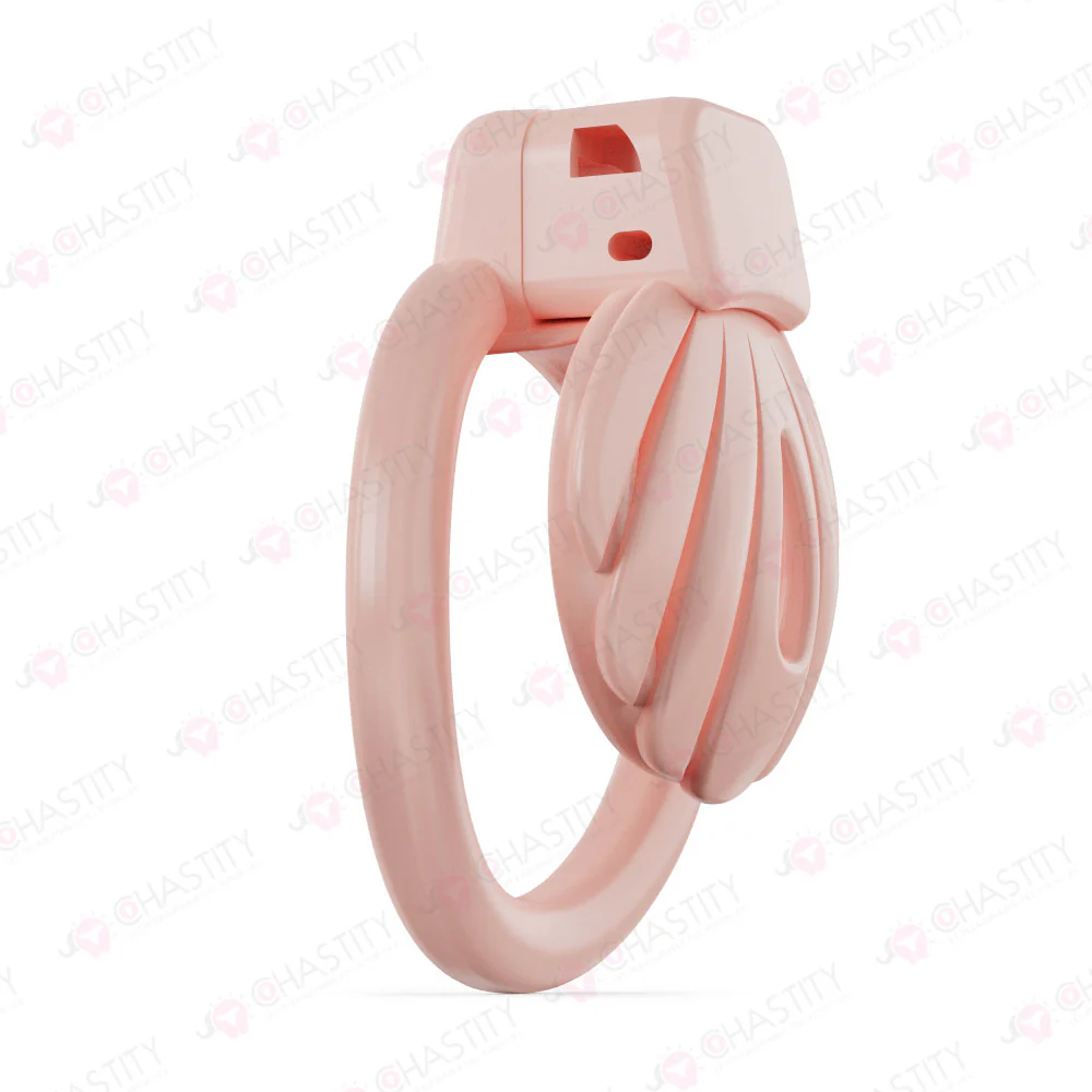Ocean Shell Super Small Chastity Cage - Image 2
