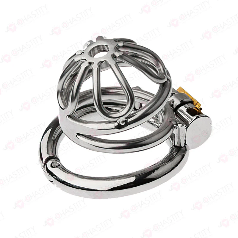 Petal Hinged Chastity Cage - Image 6