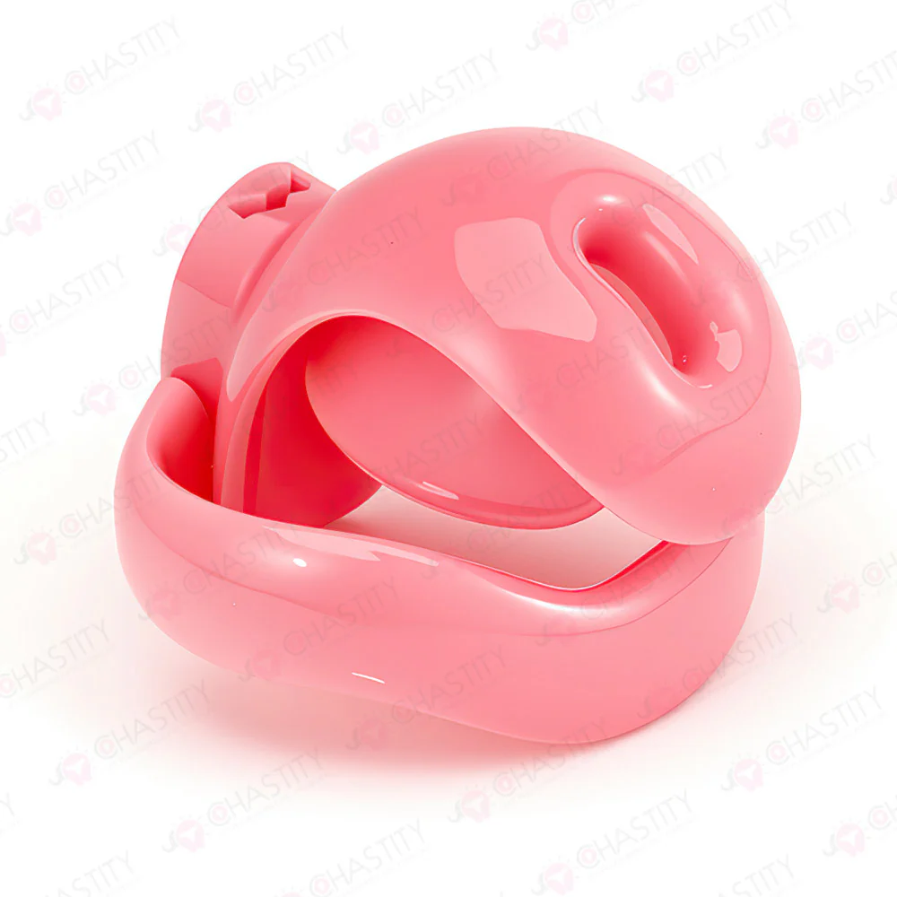Pin-Lock Forever Chastity Cage - Image 8