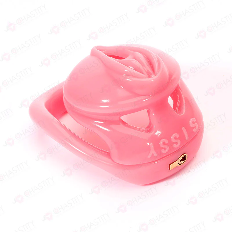 Pink Vulva Chastity Cage (Small Concealed Lock) - Image 4
