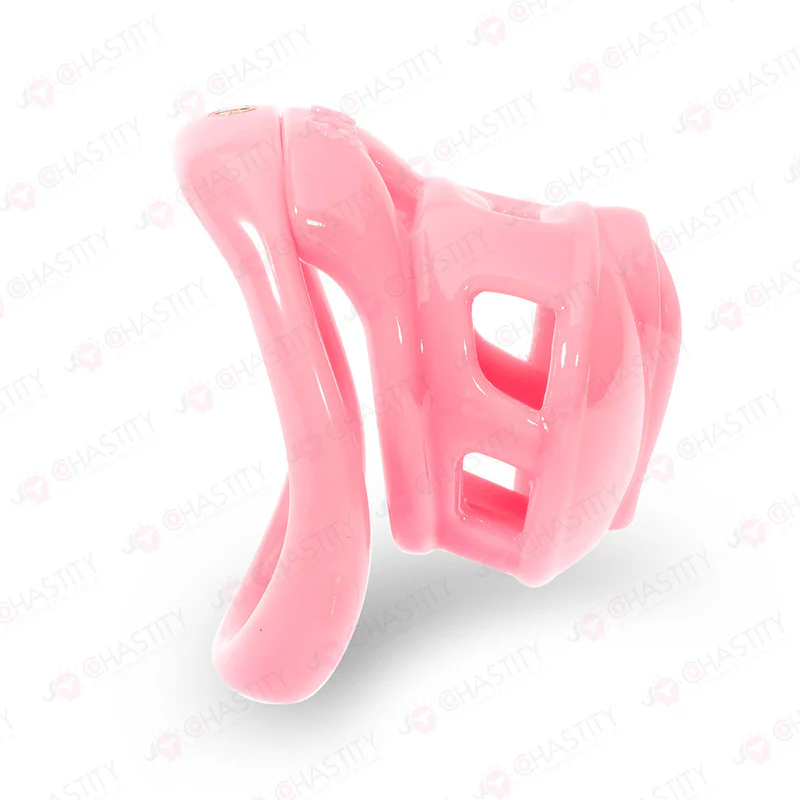 Pink Vulva Chastity Cage (Small Concealed Lock) - Image 6