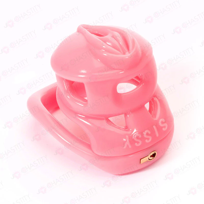 Pink Vulva Chastity Cage (Small Concealed Lock) - Image 7