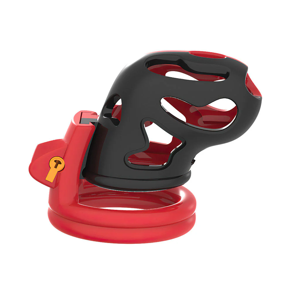 Plastic Penis Cage - Image 2