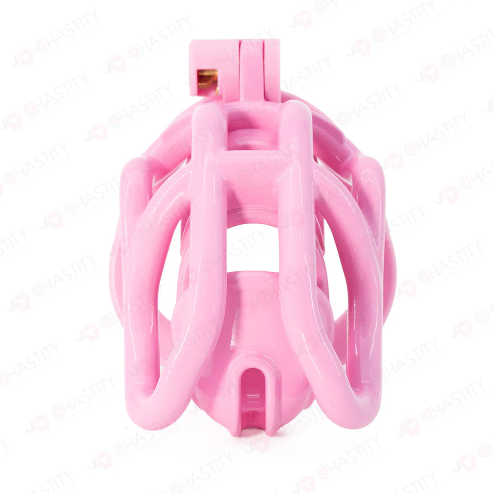 Protect Your Chastity With Cock Helmet - Image 7