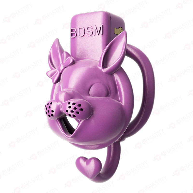 Rabbit Chastity Cage - Image 8