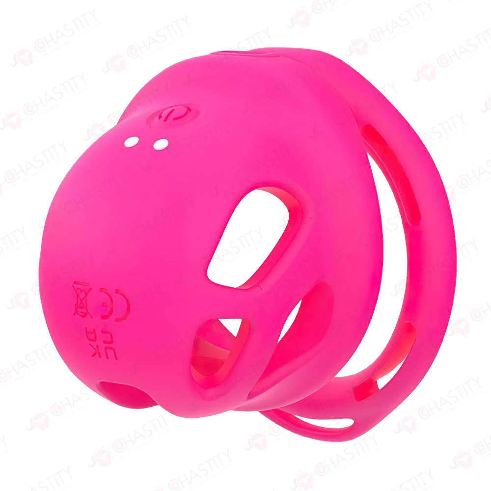 Remote-Controlled Vibrating Penis Cage - Image 2