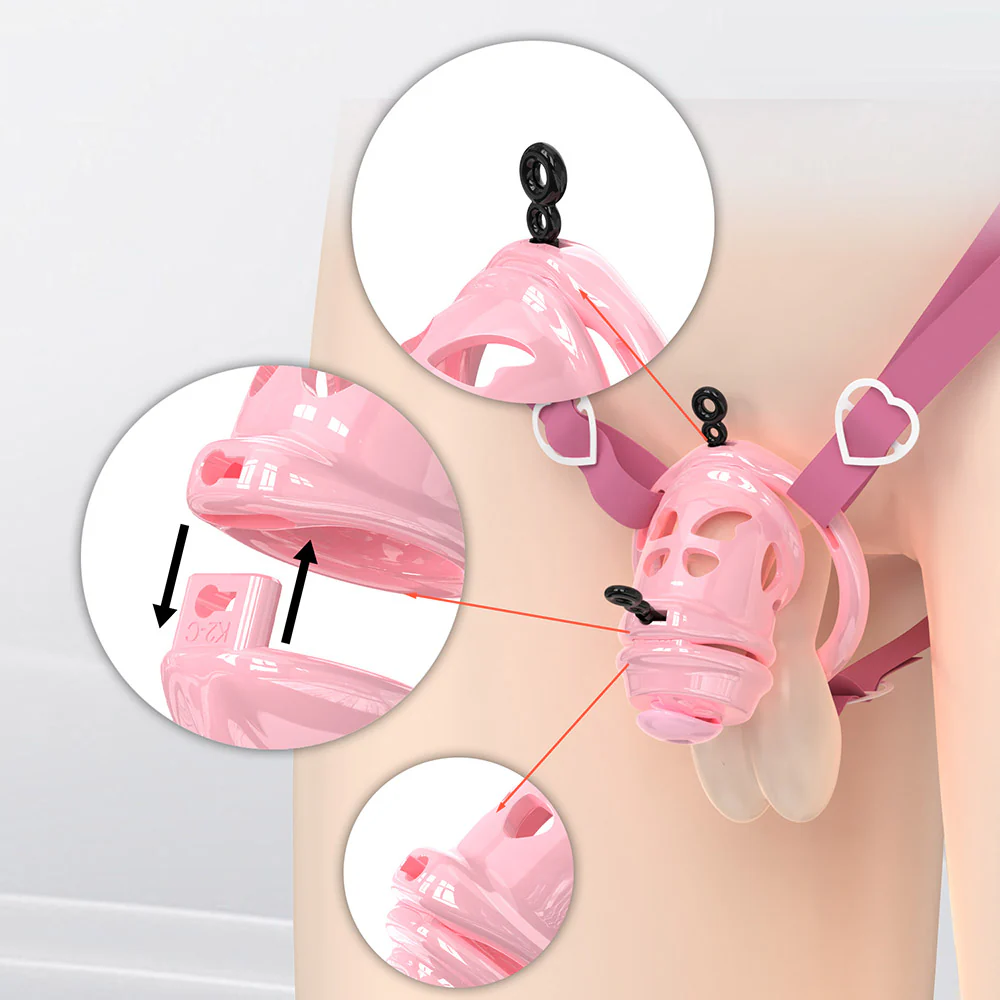 Removable Head Free-assembly Chastity Cage - Image 11