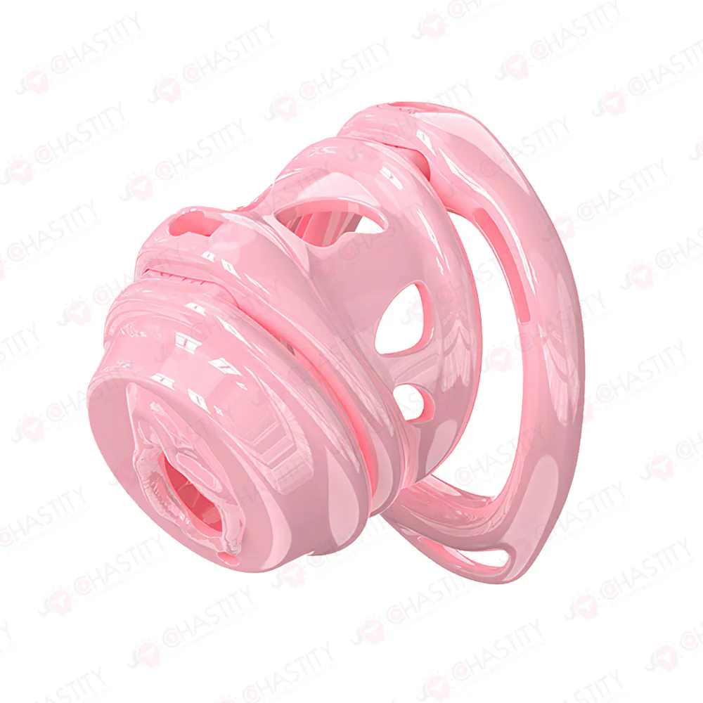 Removable Head Free-assembly Chastity Cage - Image 2