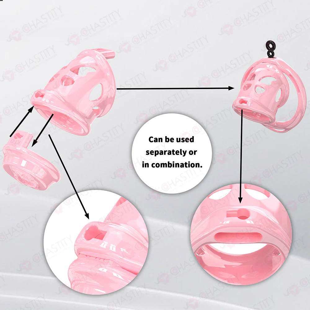 Removable Head Free-assembly Chastity Cage - Image 9