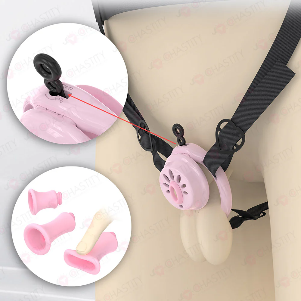Removable Inverted Flat Chastity Cage - Image 7