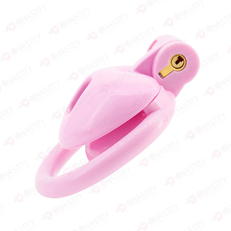 Reverse Heart Chastity Cage - Image 5