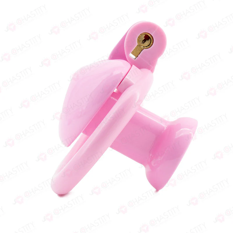 Reverse Heart Chastity Cage - Image 6
