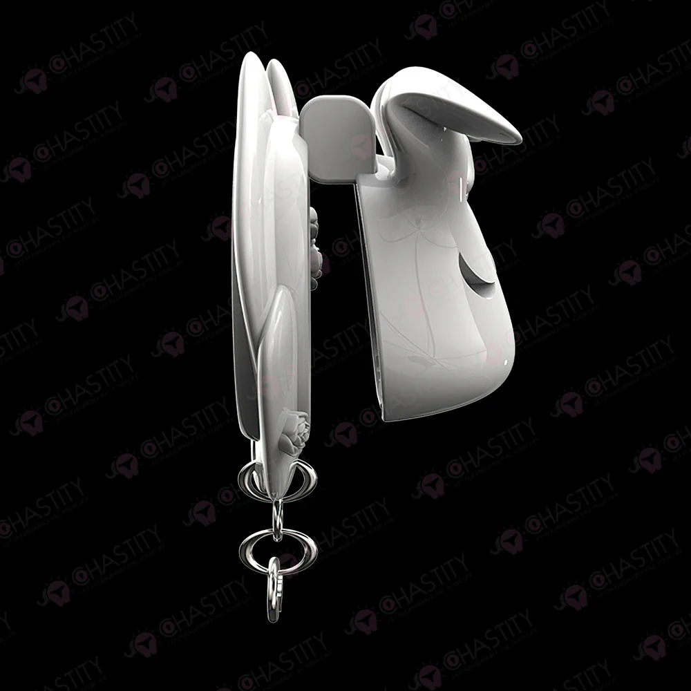Rogue Rabbit Chastity Cage With Tail Anal Plug - Image 16