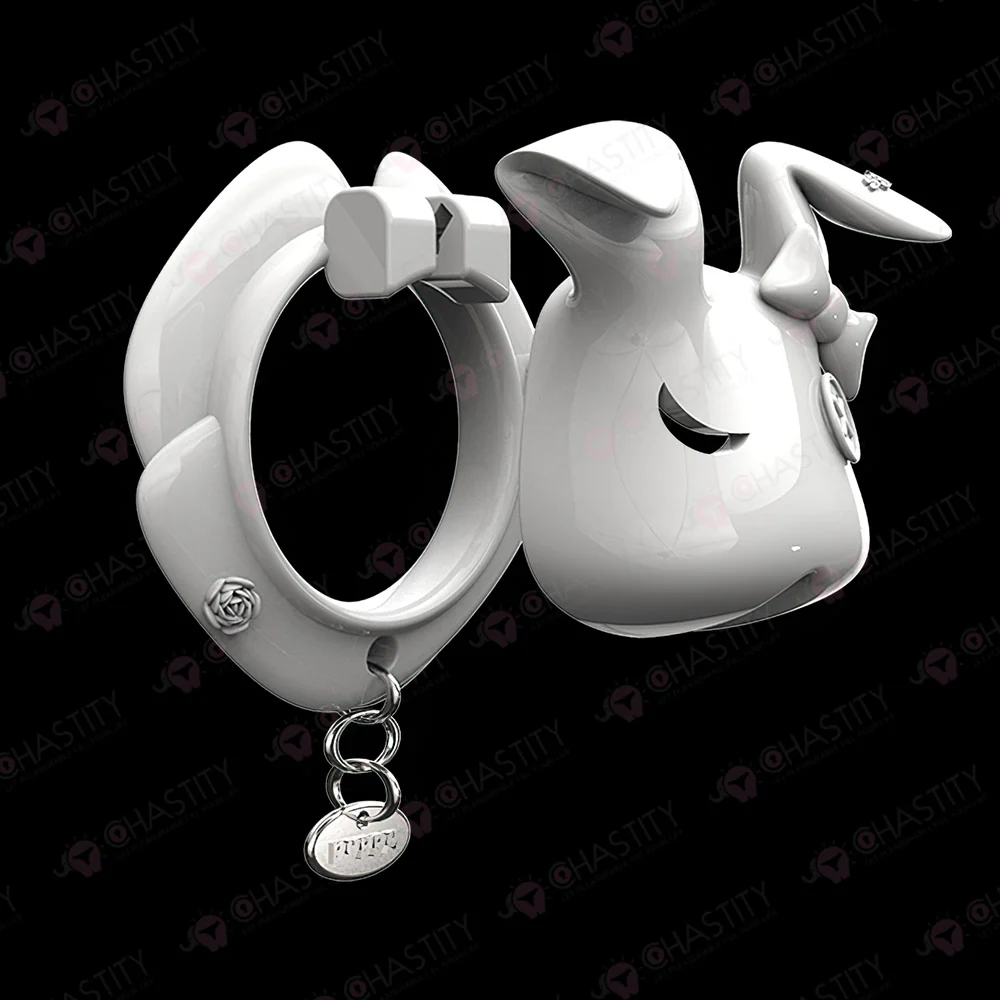 Rogue Rabbit Chastity Cage With Tail Anal Plug - Image 17