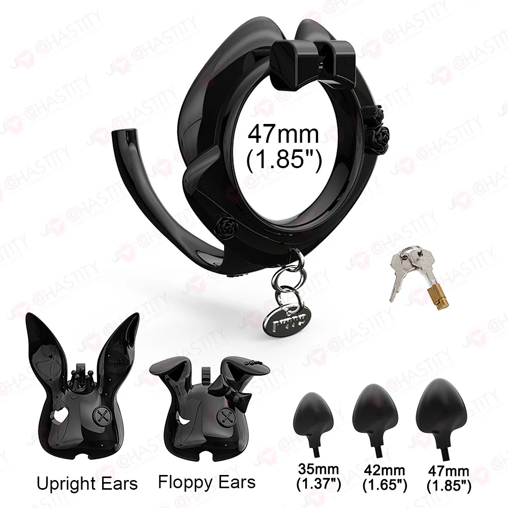 Rogue Rabbit Chastity Cage With Tail Anal Plug - Image 4