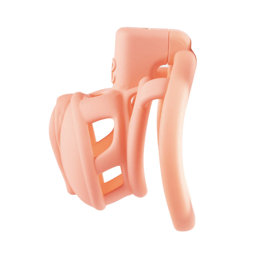 Sevanda 3D Printed Pink Pride Chastity Cage - Image 2