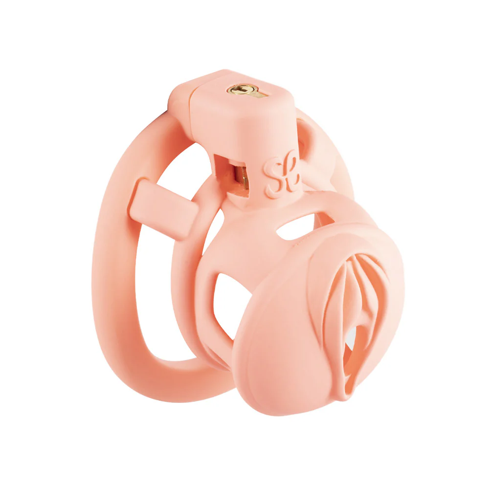 Sevanda 3D Printed Pink Pride Chastity Cage - Image 3