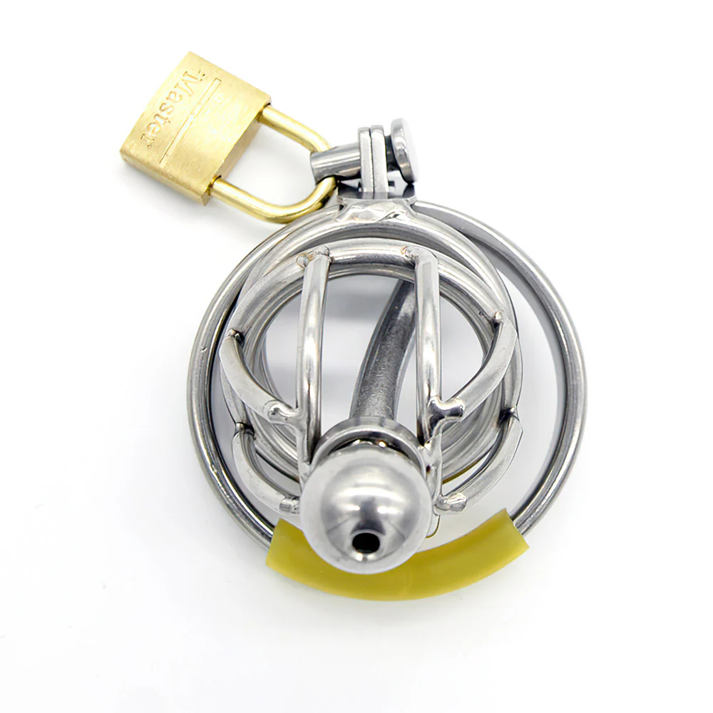 Shield of Chastity - Image 3