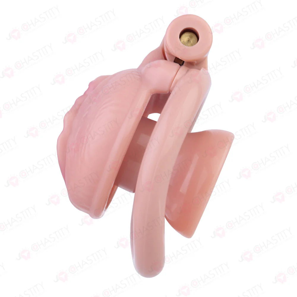Sissy Clitoris Chastity Trans - Image 10