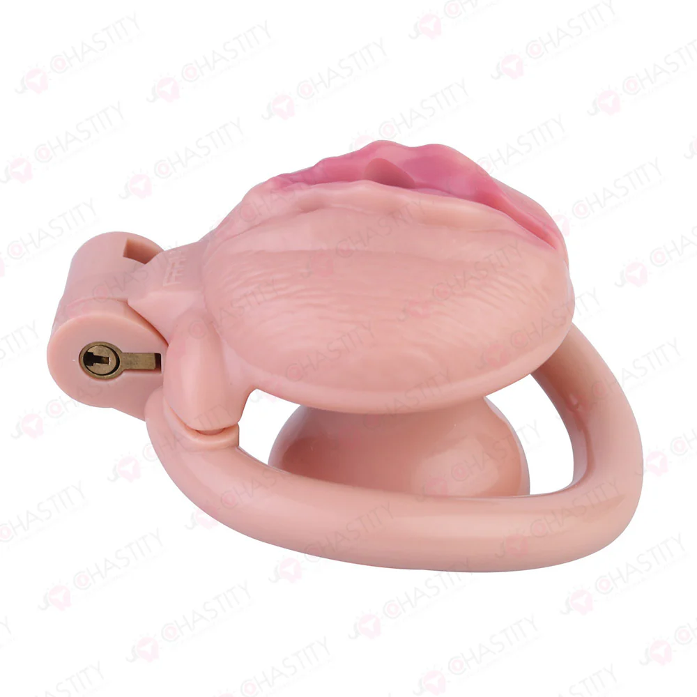 Sissy Clitoris Chastity Trans - Image 12