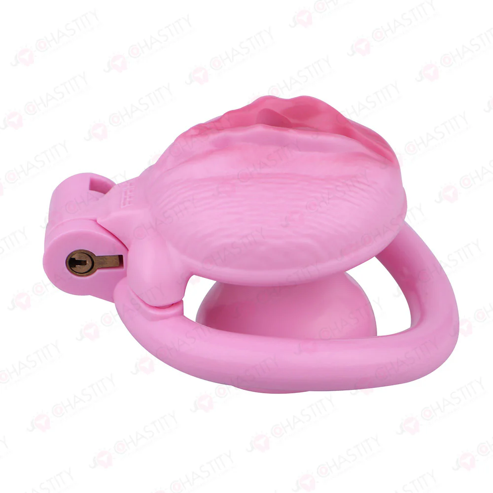 Sissy Clitoris Chastity Trans - Image 14