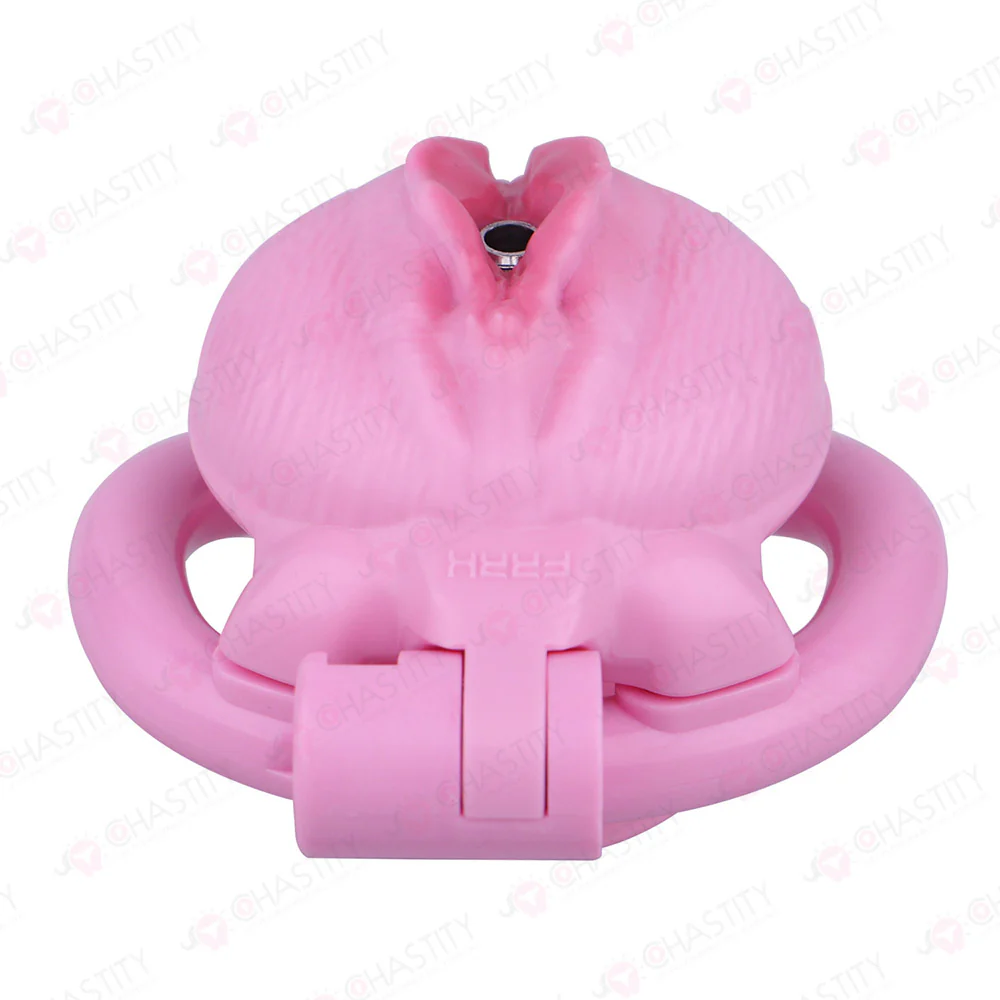 Sissy Clitoris Chastity Trans - Image 15