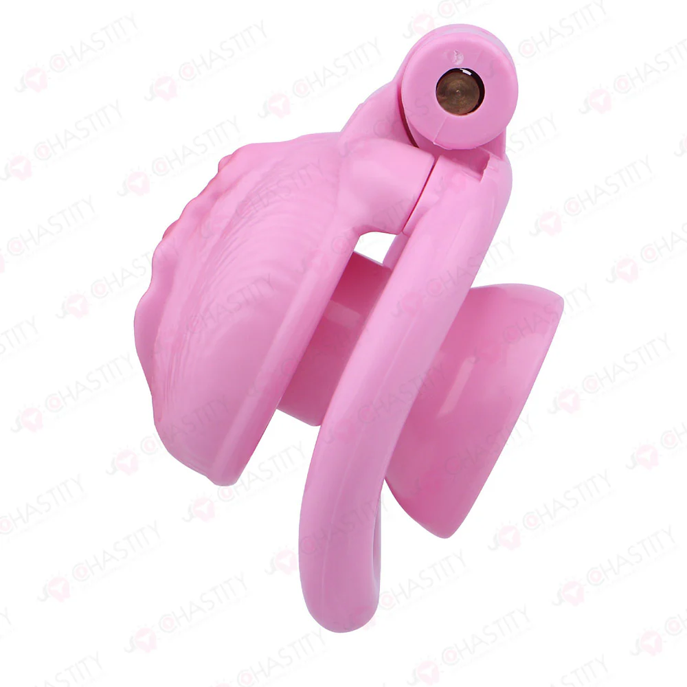 Sissy Clitoris Chastity Trans - Image 16