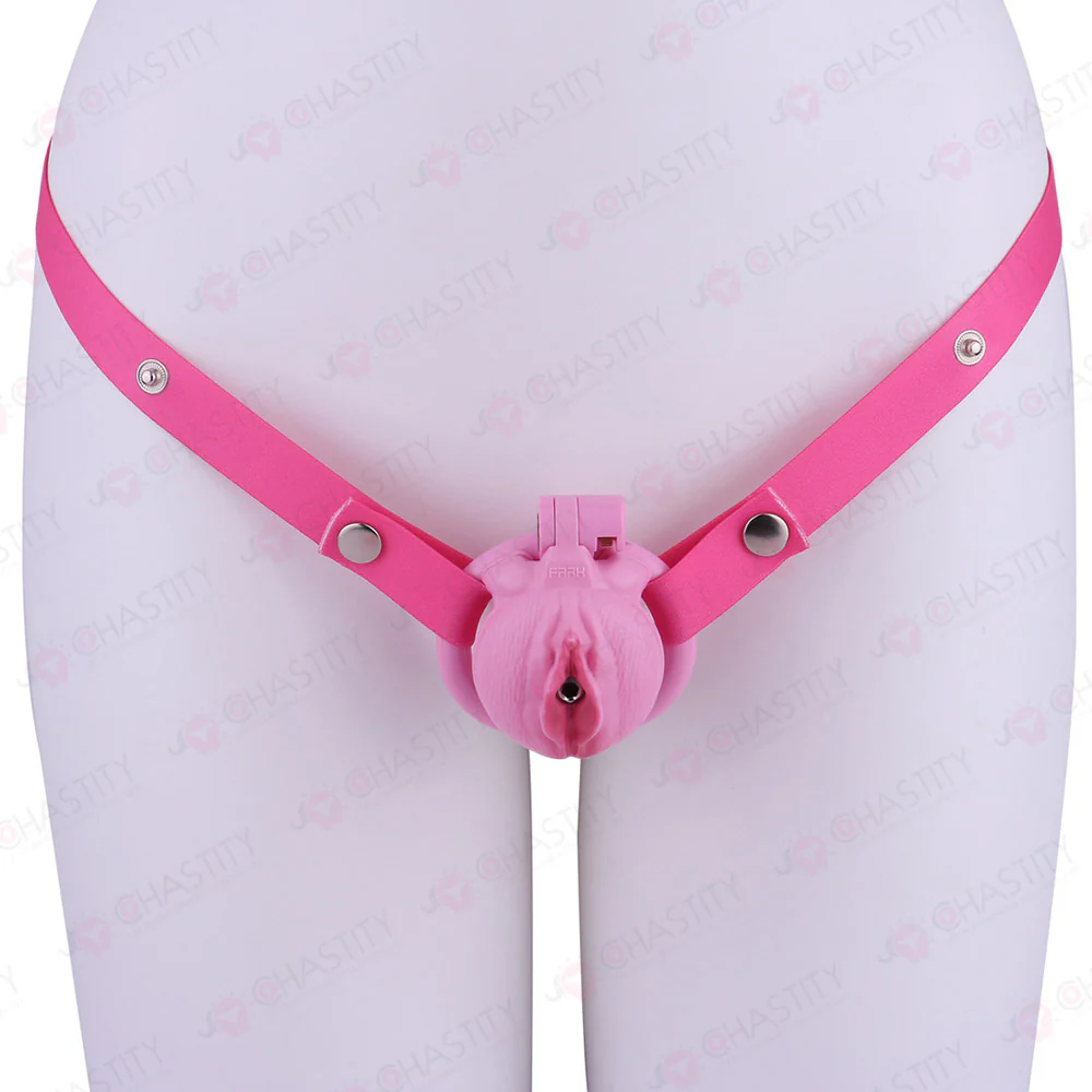 Sissy Clitoris Chastity Trans - Image 17