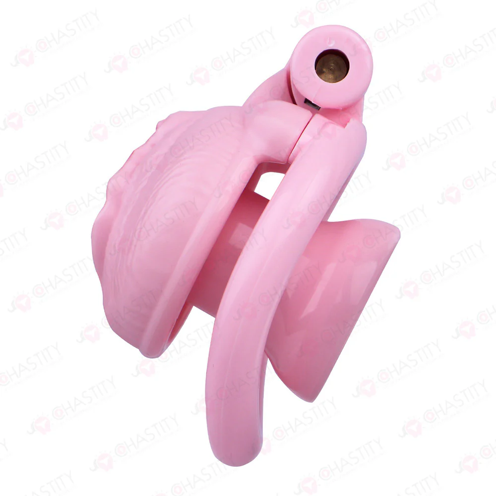 Sissy Clitoris Chastity Trans - Image 5