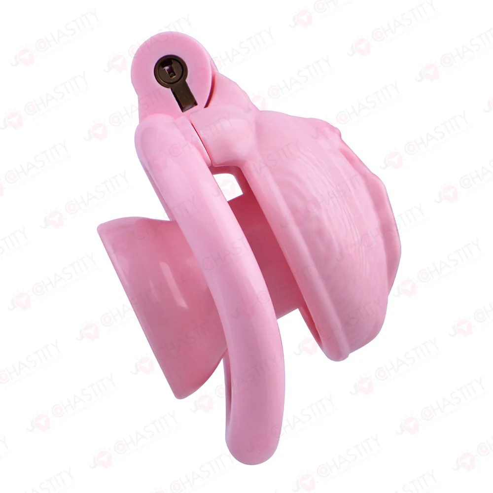 Sissy Clitoris Chastity Trans - Image 6