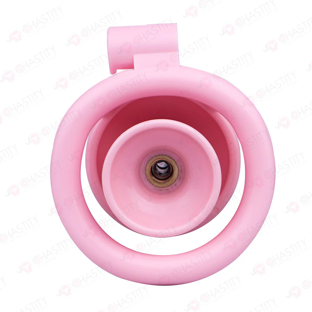 Sissy Clitoris Chastity Trans - Image 7