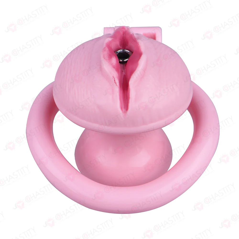 Sissy Clitoris Chastity Trans - Image 8