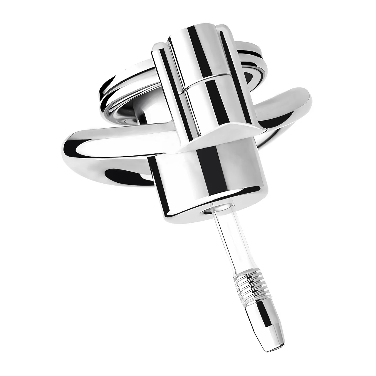 Sissy Extreme Inverted Chastity & Realistic Dildo - Image 9