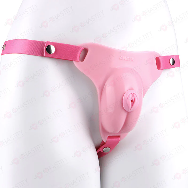 Sissy Feminization Pussy Panties - Image 12