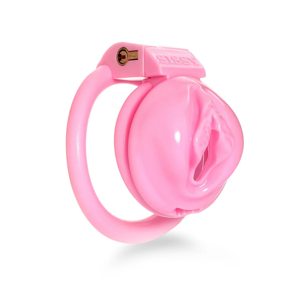 Sissy Labia Chastity Cage - Image 3